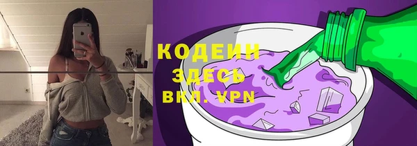 ГАЛЛЮЦИНОГЕННЫЕ ГРИБЫ Богданович