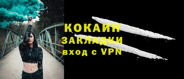 ГАЛЛЮЦИНОГЕННЫЕ ГРИБЫ Богданович