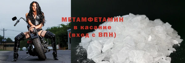 ГАЛЛЮЦИНОГЕННЫЕ ГРИБЫ Богданович