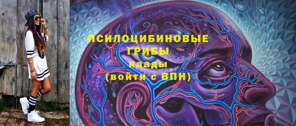 ГАЛЛЮЦИНОГЕННЫЕ ГРИБЫ Богданович