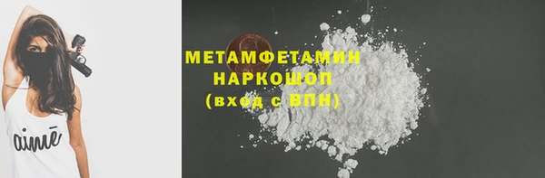 ГАЛЛЮЦИНОГЕННЫЕ ГРИБЫ Богданович