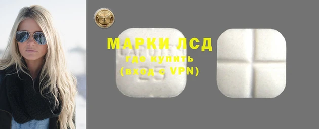 ГАЛЛЮЦИНОГЕННЫЕ ГРИБЫ Богданович