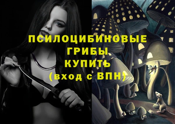 первитин Богородицк