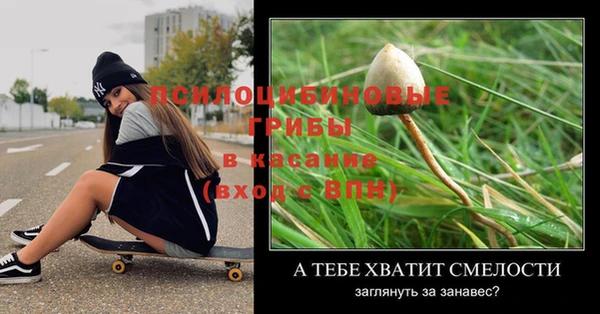 ГАЛЛЮЦИНОГЕННЫЕ ГРИБЫ Богданович