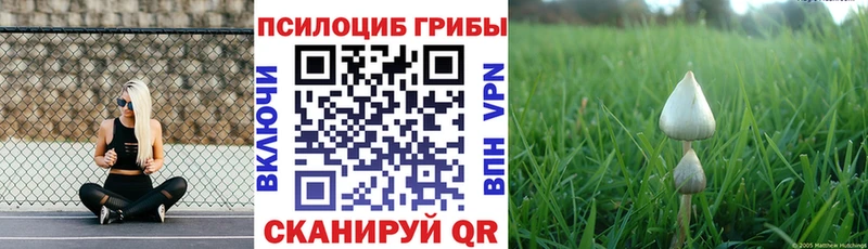 Галлюциногенные грибы Psilocybine cubensis  где купить наркоту  Елизаветинская 
